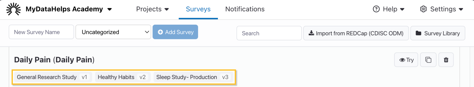 Survey-Version-Tags.png