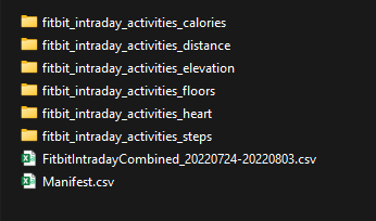 fitbit_intraday_activities_type_folders.png