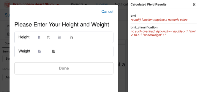 Calculated Field Results-Errors