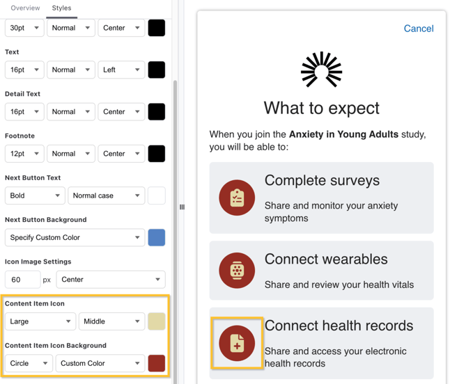 Survey-Styles-Example-ContentItemIcon